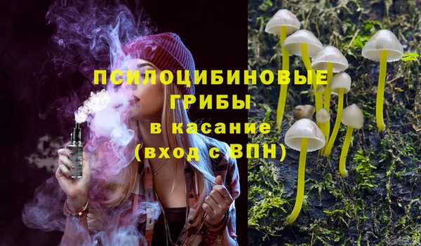 СК Алзамай