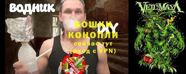 прущая мука Арсеньев