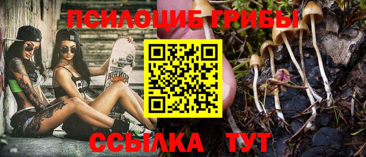 Галлюциногенные грибы Жуковский